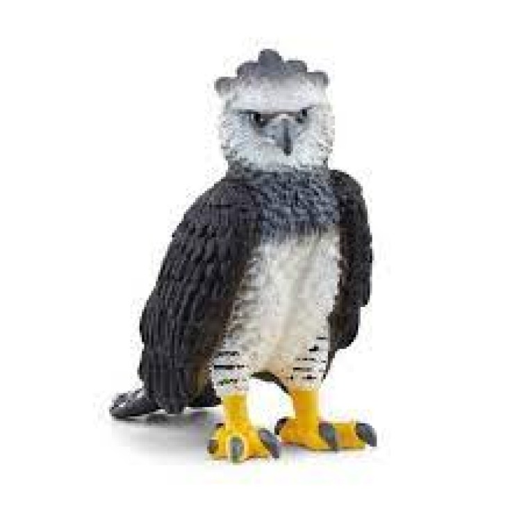 Harpyie Eagle 14862