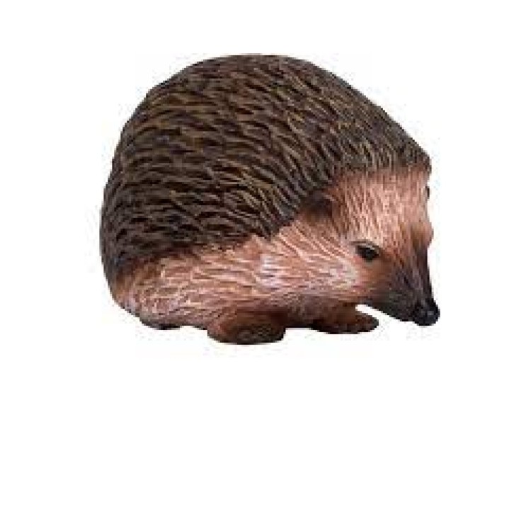 Hedgehog 387035
