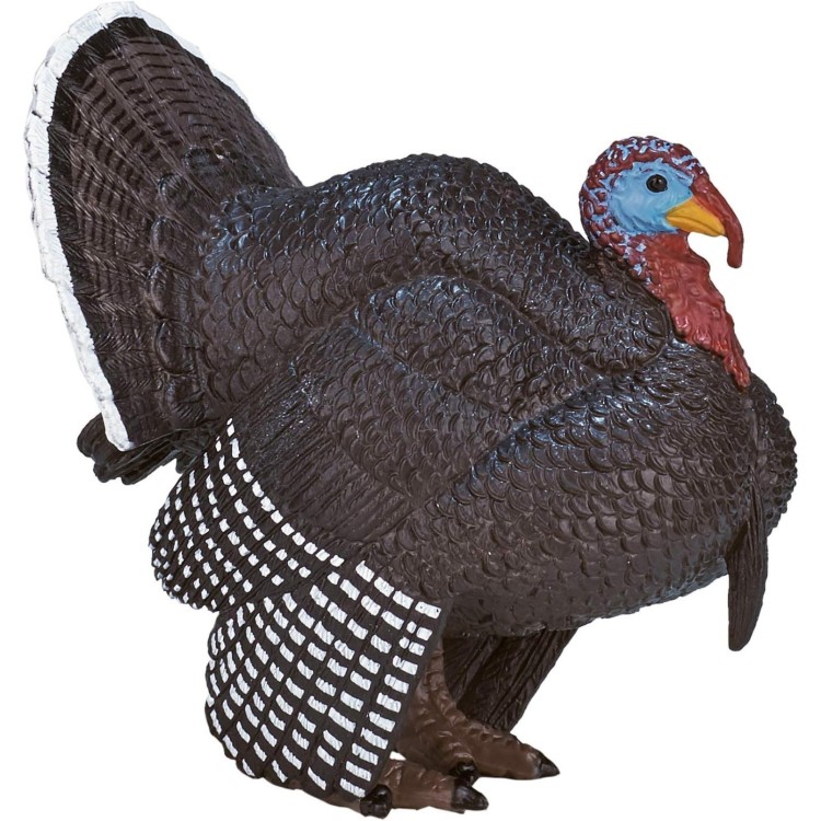 Male Turkey By Mojo