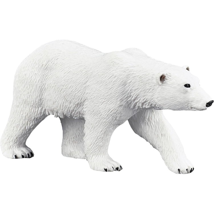 Polar Bear 387183
