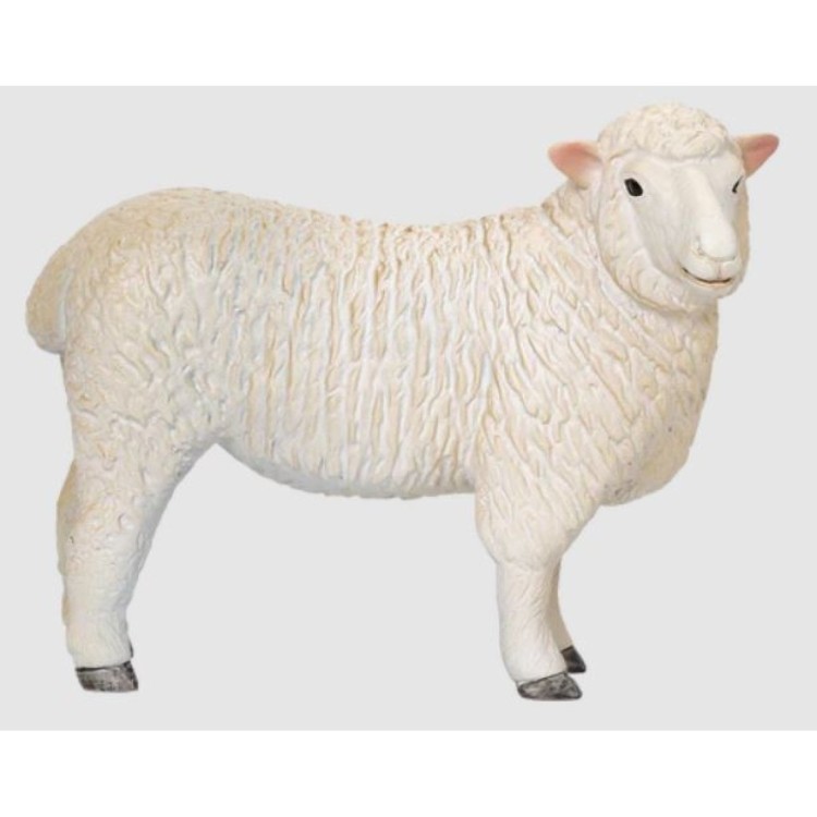 381064 Romney Sheep (Ewe) By Mojo 