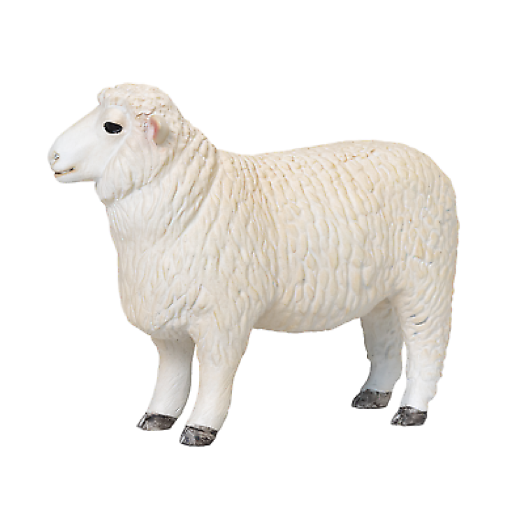 381063 Romney Sheep (Ram) By Mojo 